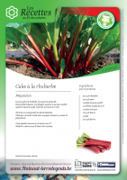 Cake à la rhubarbe