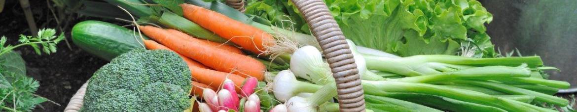 Panier de légumes divers