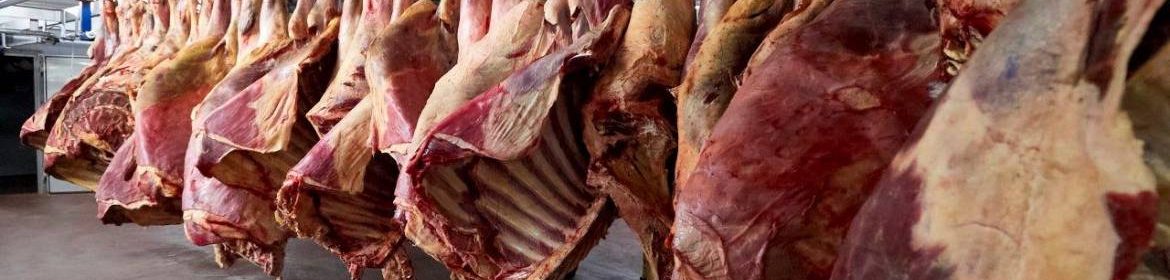 abattoir carcasses de viande