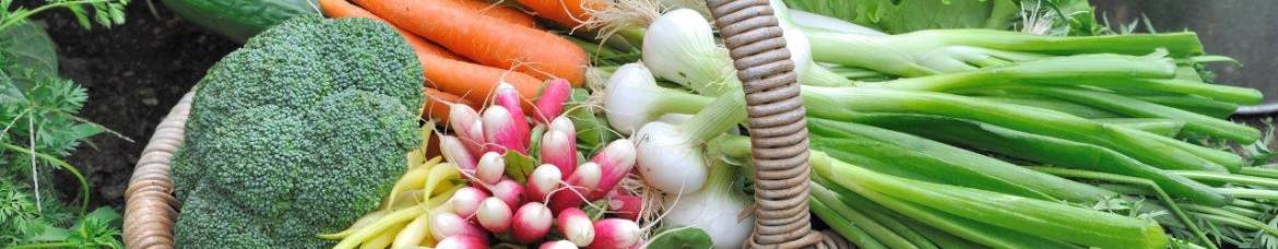Brocolis, carottes, radis et oignons