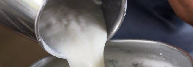 cruche de lait à la ferme