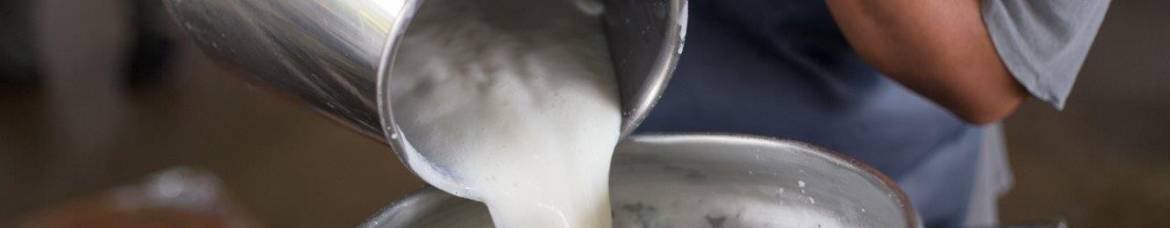 cruche de lait à la ferme