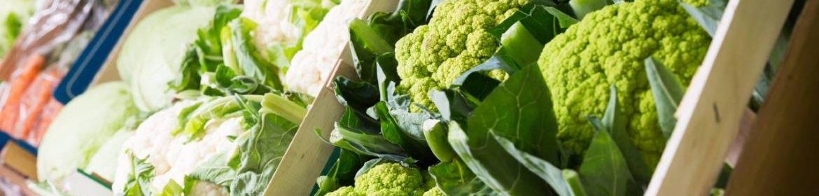 assortiment de choux dont choux chinois