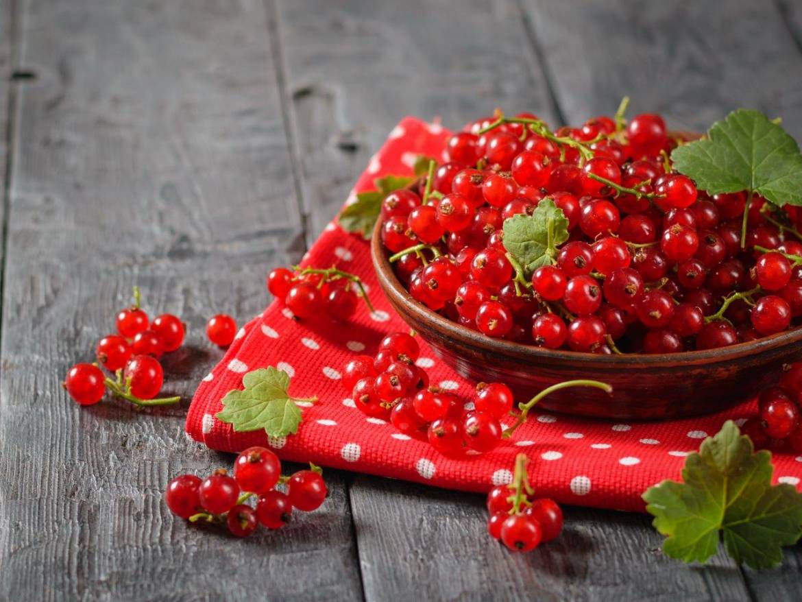 Petits fruits rouges