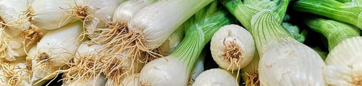 Oignons