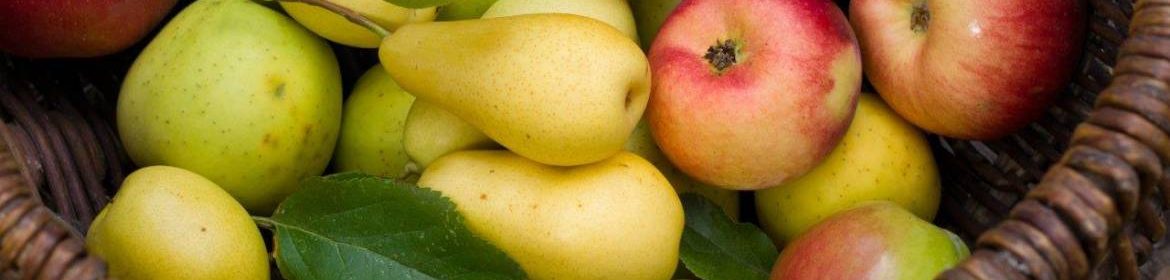 panier de pommes et de poires