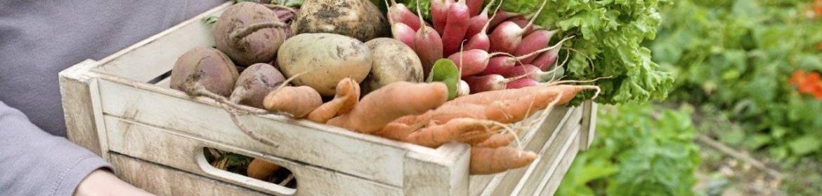 légumes