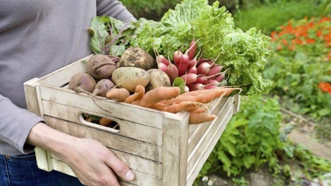 légumes