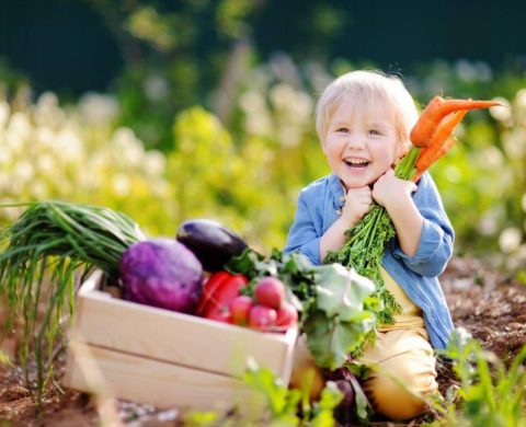 caisse de légumes et petit garçon