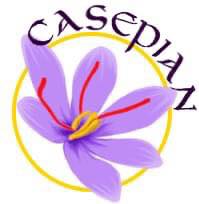 Casepian