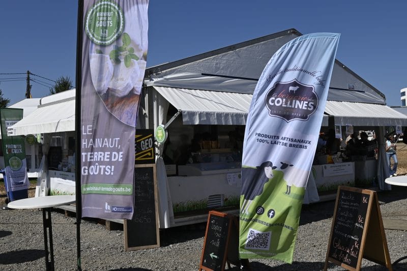 452746747_1000135165453791_4000897730115947964_n