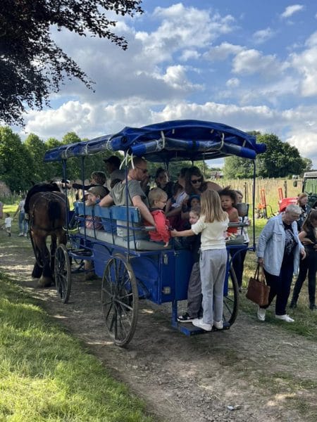 446982521_950682163518821_4499914412112239390_n